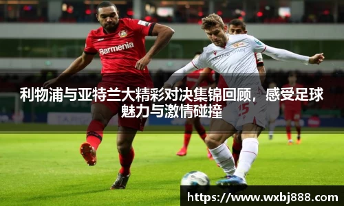 雷火电竞官网