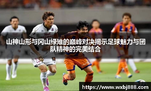 山神山形与冈山绿雉的巅峰对决揭示足球魅力与团队精神的完美结合